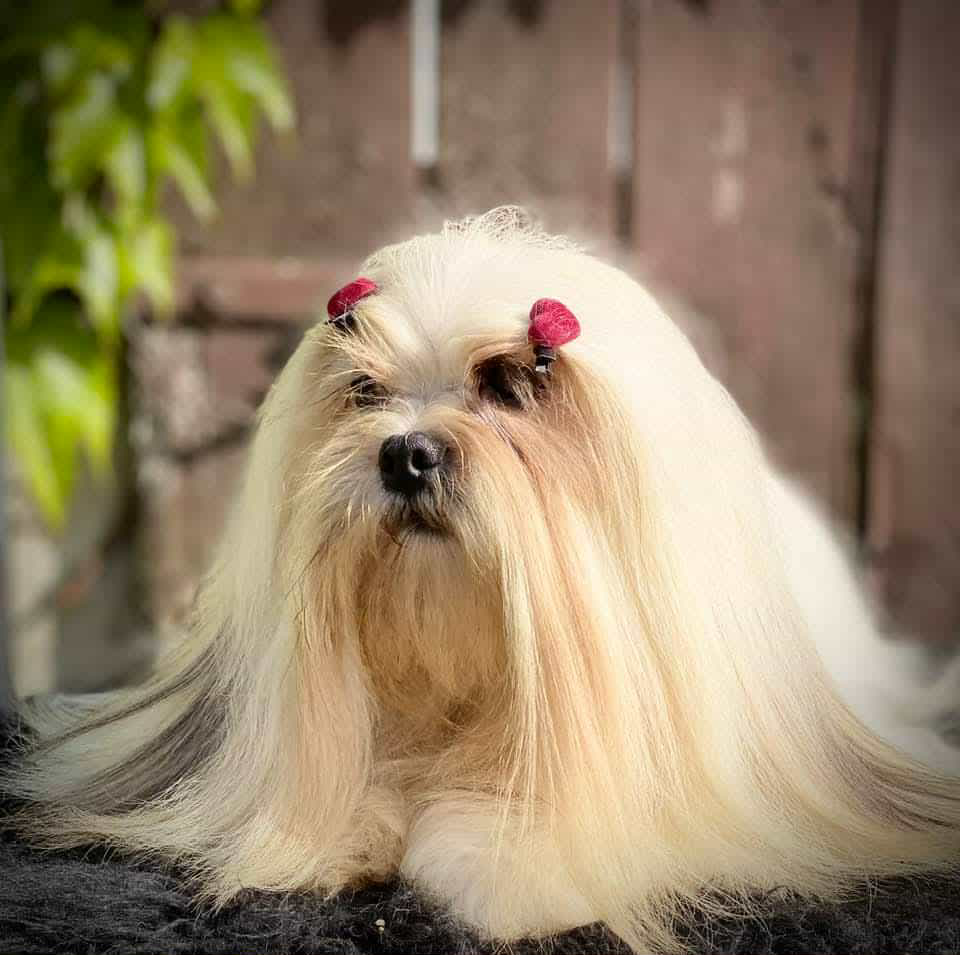 59850AA3 C78E 4627 B407 18EEE58BD560