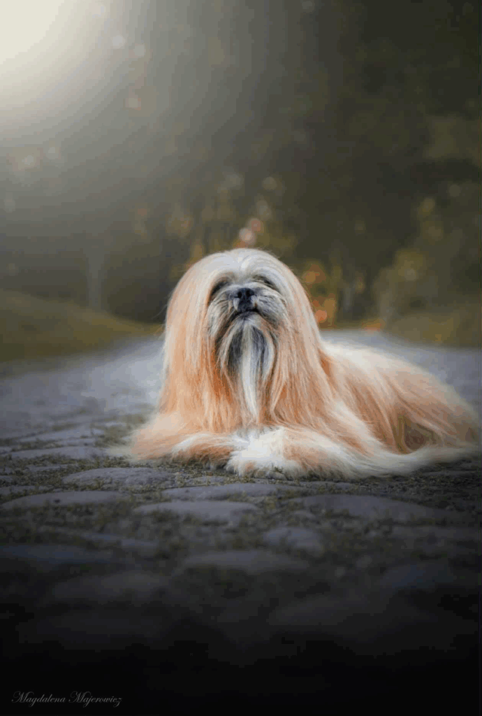 Lambada
